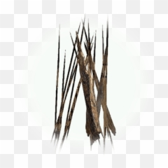 Mansha Trap - BDO Codex Twig png