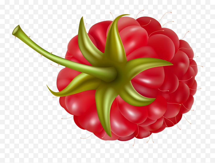 Raspberry Icon 19281 - Web Icons Png,Raspberry Icon