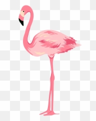 Flamingo Transparent Background - Flamingo Png,Flamingo Transparent Background