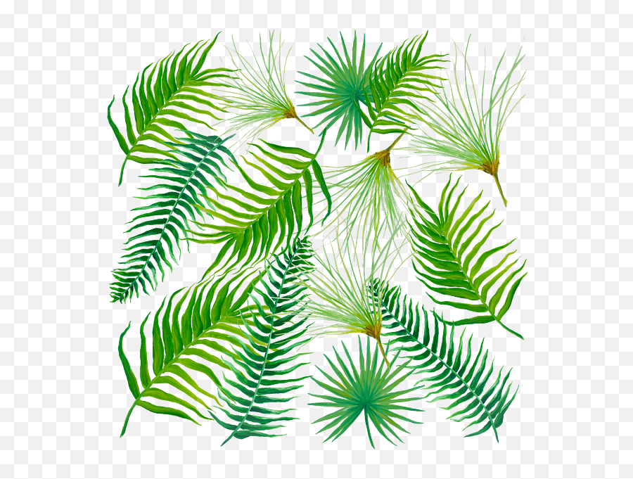 Tropical Leaves And Ferns Round Beach Towel - Leaf Png,Tropical Leaf Png