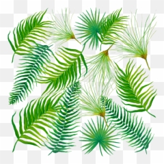 Tropical Leaves And Ferns Round Beach Towel - Leaf png