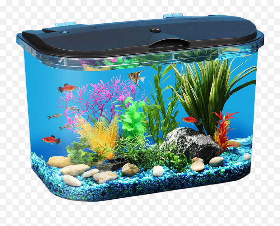 Aquarium Fish Tank Png Download Image All - Kids Starter Fish Tank,Fish Png