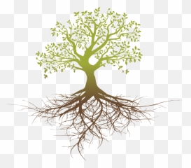 free transparent tree roots png images page 1 pngaaa com free transparent tree roots png images