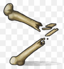 Bone Fragments Rust Wiki Fandom - Bones png