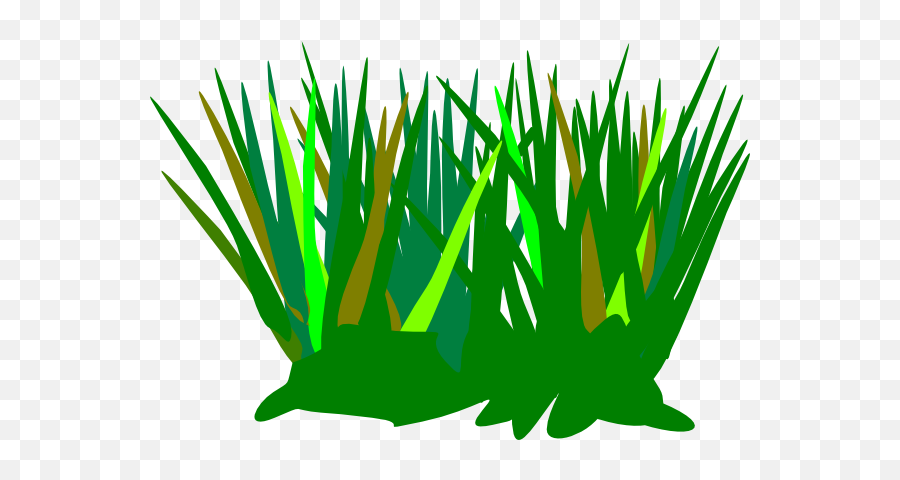 Green Wheat Grass Tuft Clip Art - Vector Clip Cartoon Grass Vector Transparent Png,Grass Vector Png