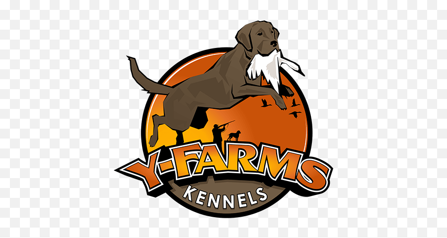 Download Y Farms Is A Family Owned And Operated Dog Kennel - Kennel Png,Farm Logos