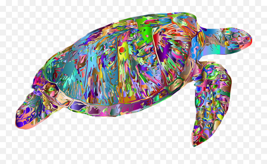 Sea Turtle Animal Marine - Free Vector Graphic On Pixabay Sea Turtles Png,Sea Turtle Png