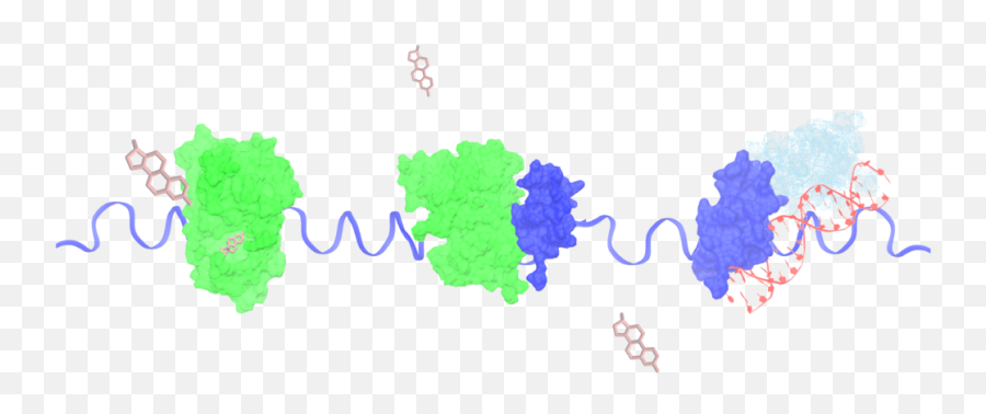 The Sichun Yang Lab Png