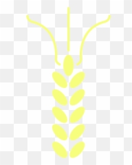 Free Trigo Png With Transparent Background - Vertical,Trigo Png