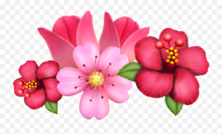 Flower Emoji Sakura Tulip Crown Flowercrown - Flower Crown Emoji Png,Snapchat Flower Crown Png