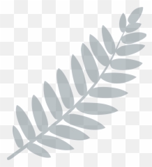 Solera - Twig png