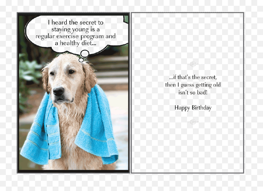 Download Secret To Staying Birthday Card - Happy Birthday Happy Birthday Dog  Lover Png,Funny Dog Png - free transparent png images 