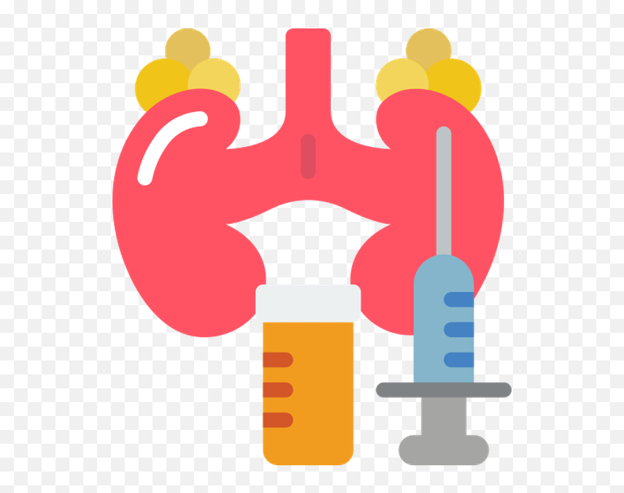 Adrenal Gland - Glândula Supra Renal Png,Adrenal Icon