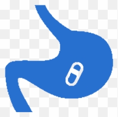 Services - Gastroenterologist In Katy Tx Language Png,Gi Tract Icon