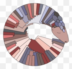 Cov - Lineages Pango Nomenclature png