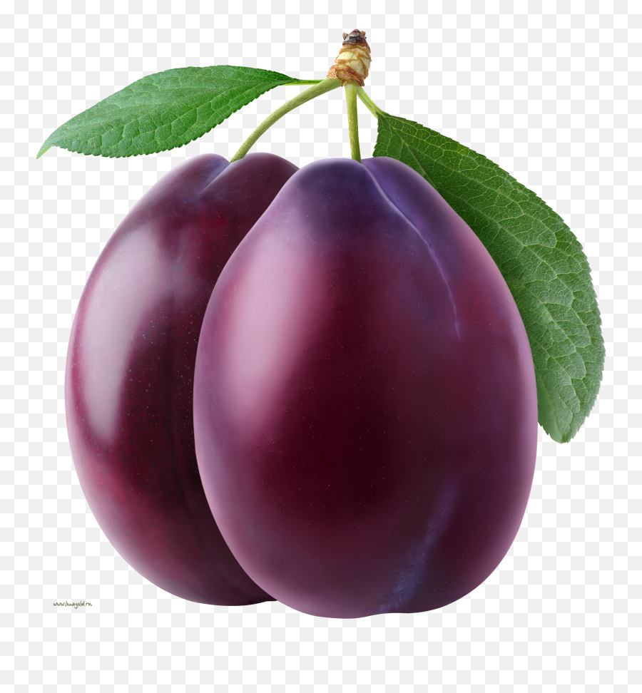 Png Prune Transparent Prunepng Images Pluspng - Plum Png,Fruit Transparent Background