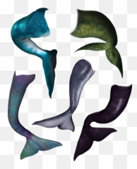 Mermaid Tail Dolphin - png