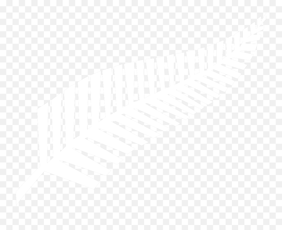 New Zealand Fern Png 4 Image - Silver Fern Logo Png,Fern Png