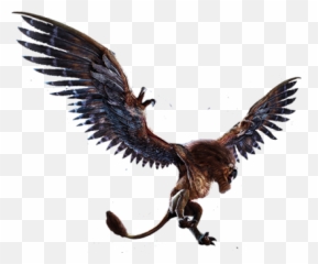 Griffin Background - 21781 Transparentpng Art Witcher 3 Griffin,Griffin Png