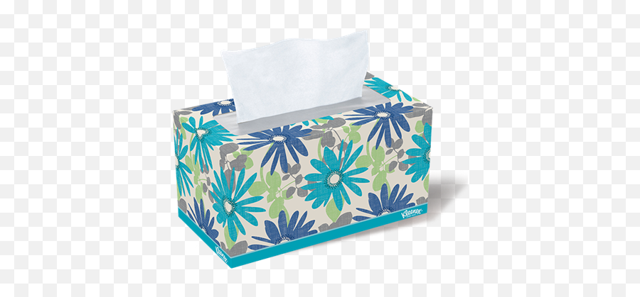 Best Techniques To Make Your Tissue Box - Tissues Box Png,Tissue Box Png