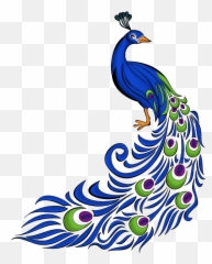 Full Rec Quality Photos Peacock Feather - Transparent Background Peacock Clipart Png,Peacock Png