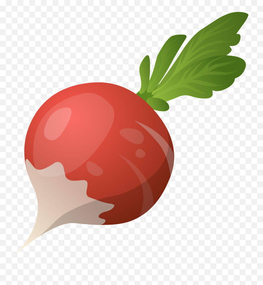 Pin - Radish Clipart Png,Beet Png