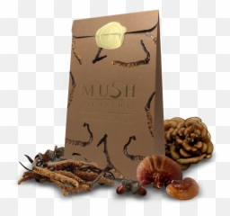Walnut Transparent Png Image - Walnut,Walnut Png