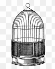 Library Of Dog Cage Banner Stock Png Files Clipart - People In Bird Cage