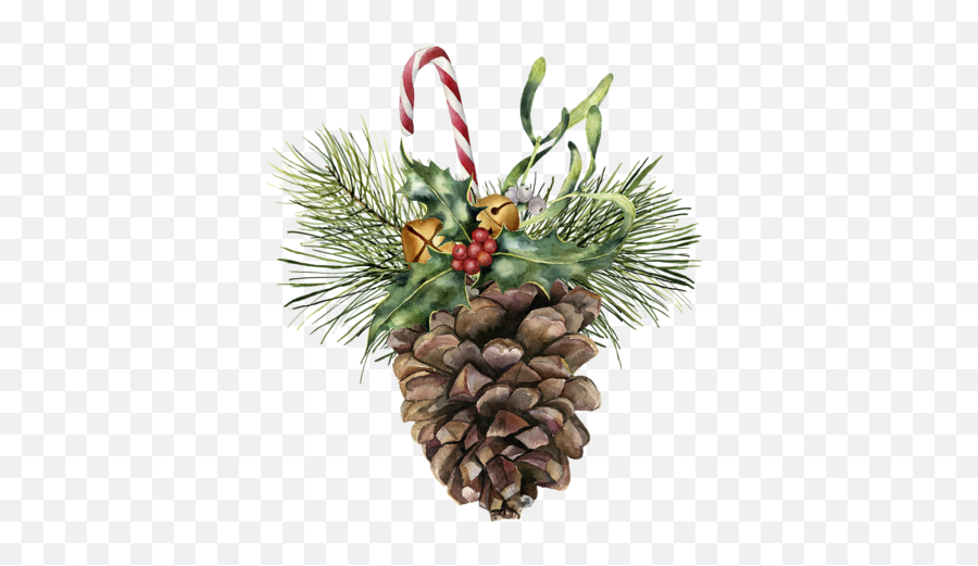 Watercolor Pine Cone With Holiday Decor - Botanical Christmas Watercolor Paintings Png,Pine Cone Png