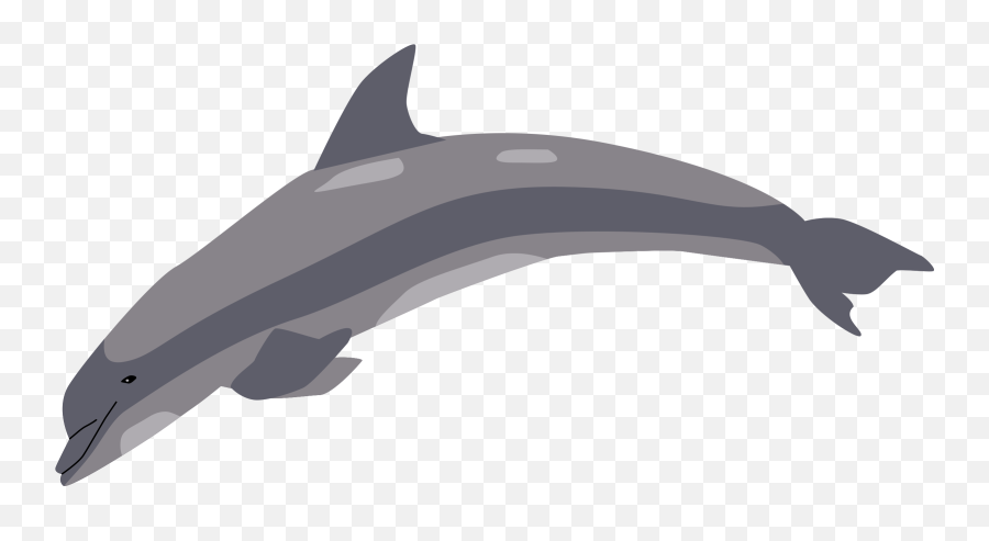 Download Clipart Png Dolphin