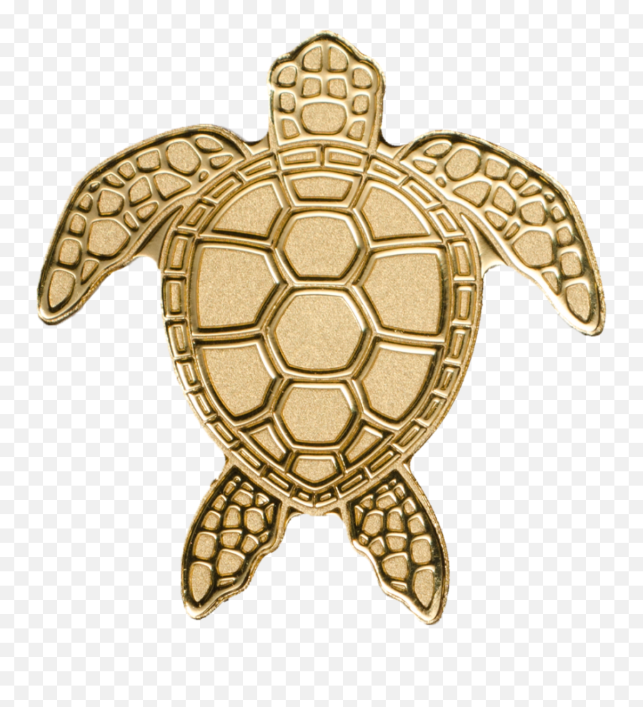 Download Hd Golden Sea Turtle - Golden Turtle Png,Turtle Png
