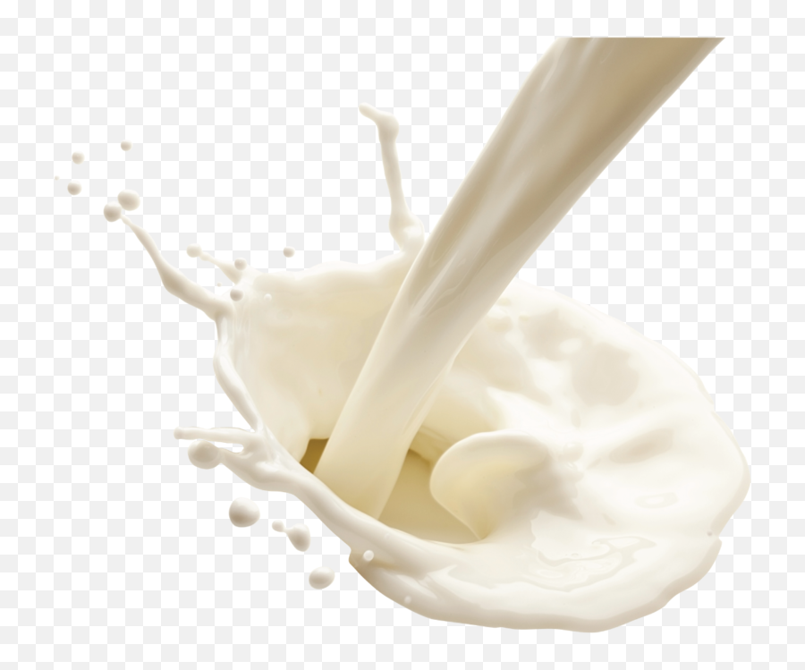 Home - M Dairy Solutions Gota De Leite Png,Milk Splash Png