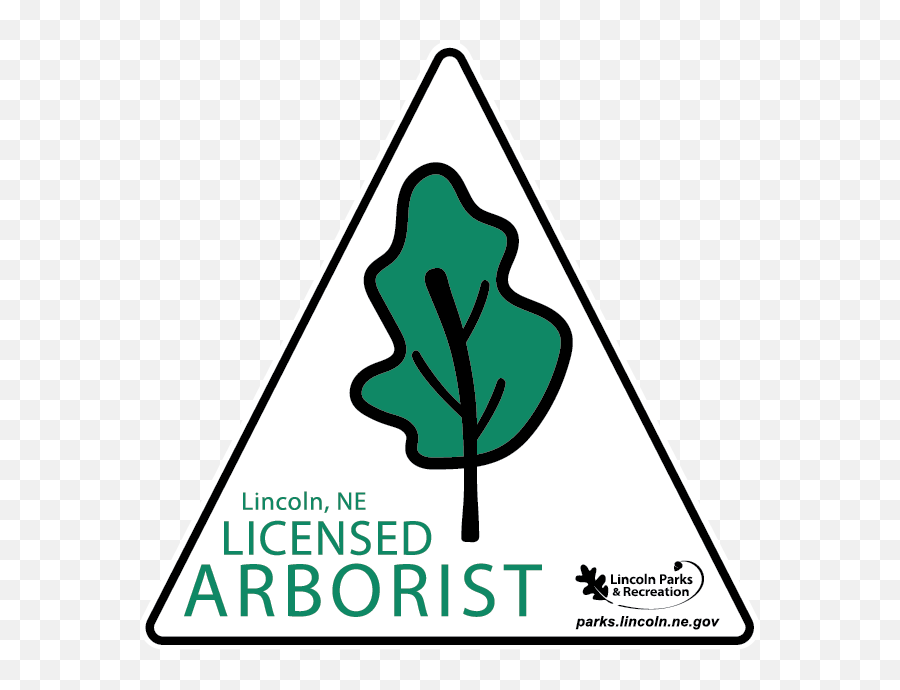 Download Lincoln Parks And Rec Arborist One Life Tree - Lincoln Parks And Rec Png,Rec Png