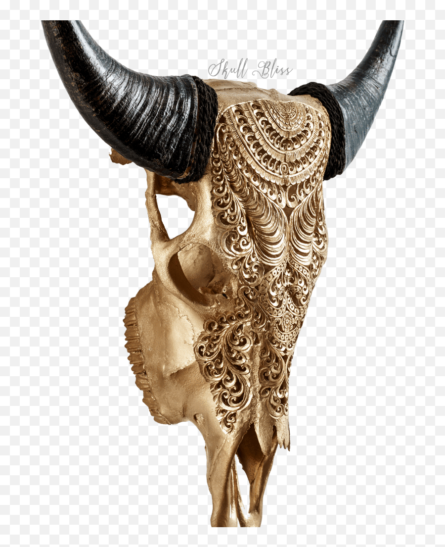 Bull Horns Png - Skull,Bull Horns Png
