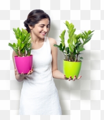 Exotic Planters - Exotic Planters Png,Planters Png