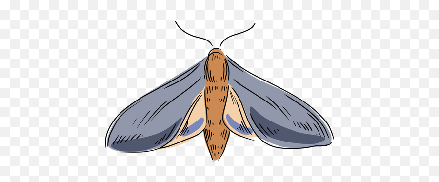 Transparent Png Svg Vector File - Parasitism,Moth Transparent Background