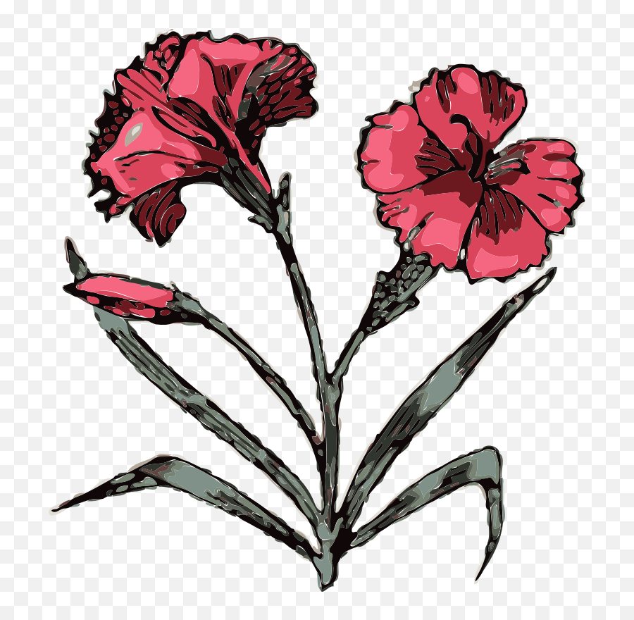 Download Free Png Carnation - Carnation Tattoo Designs,Carnation Png