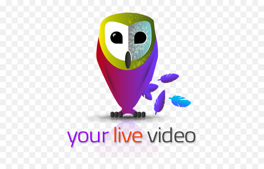 Seeume - Your Live Video Camera Soft Png,Video Camera Logo