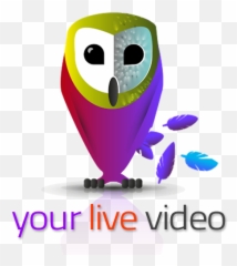 Seeume - your live video camera Soft png