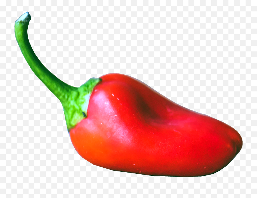 Fijian Bongo Chilli Pepper The Hot Sauce Survey - Spicy Png,Chili Pepper Logo