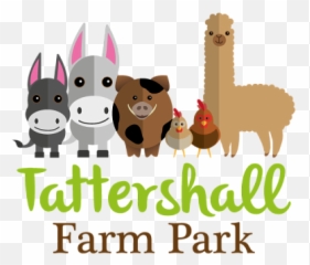 Logo And Brand For Tattershall Farm Park By Deborah Halsey - png