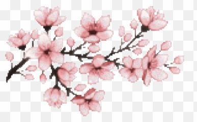 Cherry Blossom Transparent Gif 10 - Pixel Art png