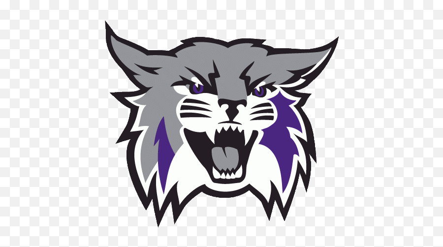 Free Kentucky Wildcats Logo Png Download - Weber State Wildcats Logo,Wildcat Icon