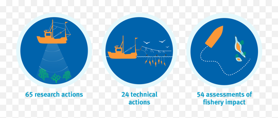 Performance Improvements In Msc Certified Sustainable - Fishing Grounds Icon Png,Fishing Icon