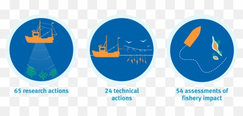 Performance Improvements In Msc Certified Sustainable - Fishing Grounds Icon Png,Fishing Icon