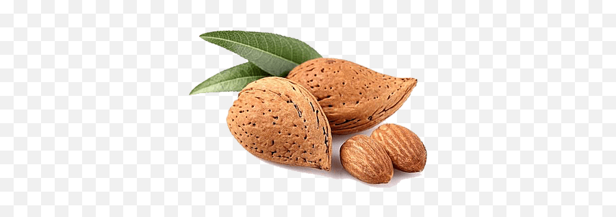 Bowl Of Almonds Transparent Png - Almonds Good For You,Almonds Png