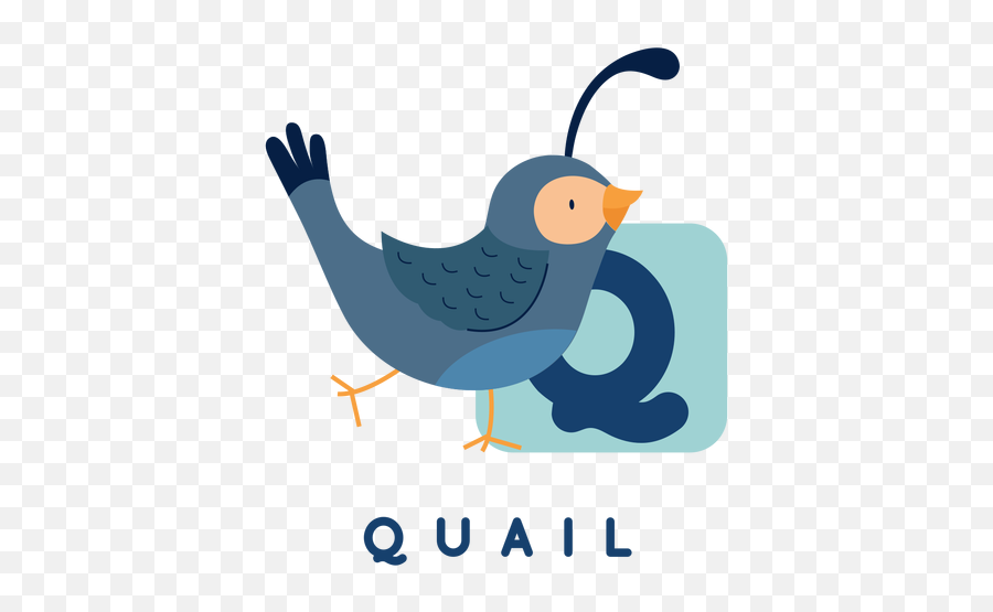 Letter Q Quail Alphabet Transparent Png U0026 Svg Vector - Passarinho Vetor Png Fundo Transparente,Quail Icon