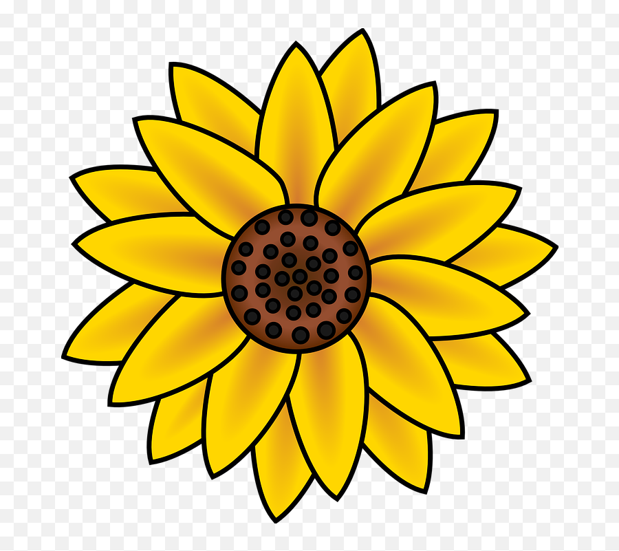 Sunflower Blossom Petals - Free Vector Graphic On Pixabay Easy Cute Sunflower Drawing Png,Watercolor Sunflower Png