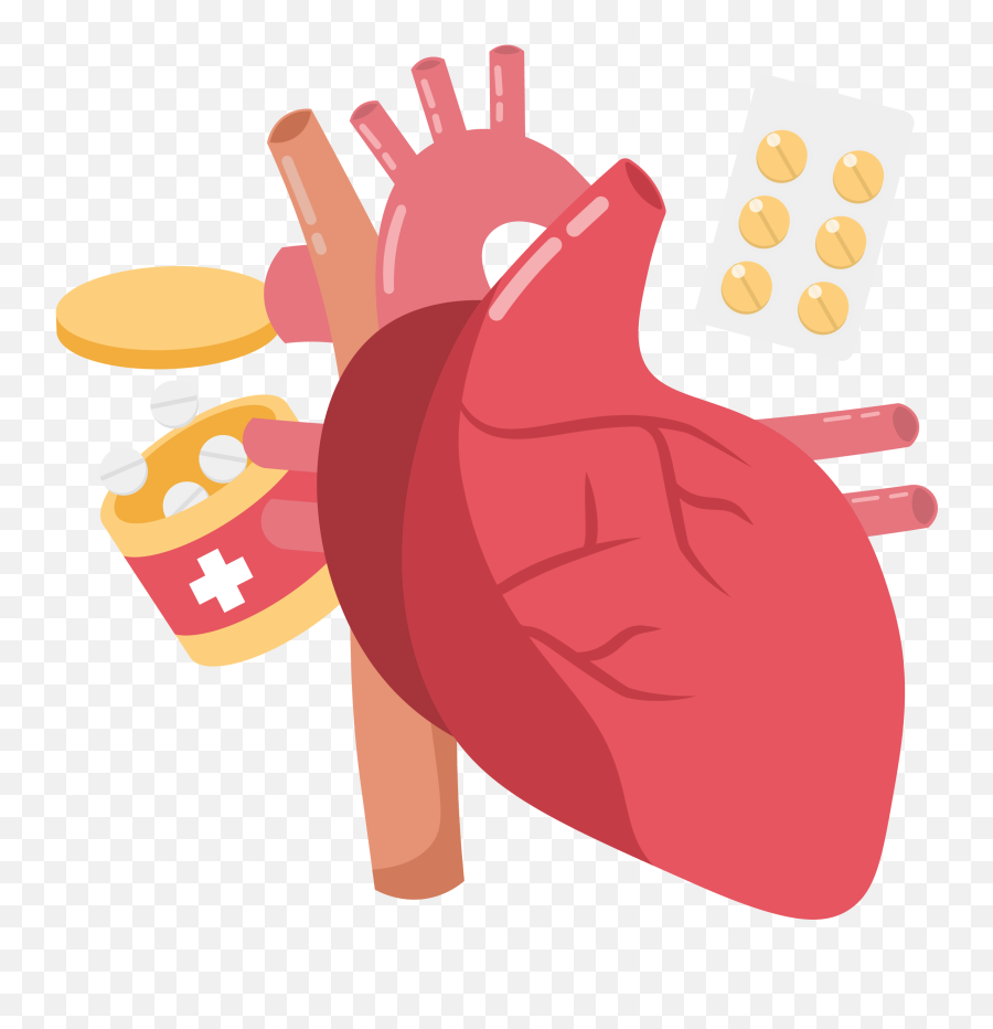 Important Heart Attack Symptoms You Should Know About Png Organ Icon