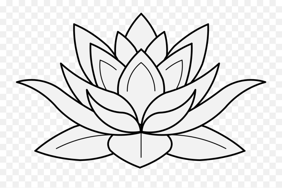 Lace Line Drawing Free Download - Lotus Flower Drawing Png,Lace Png